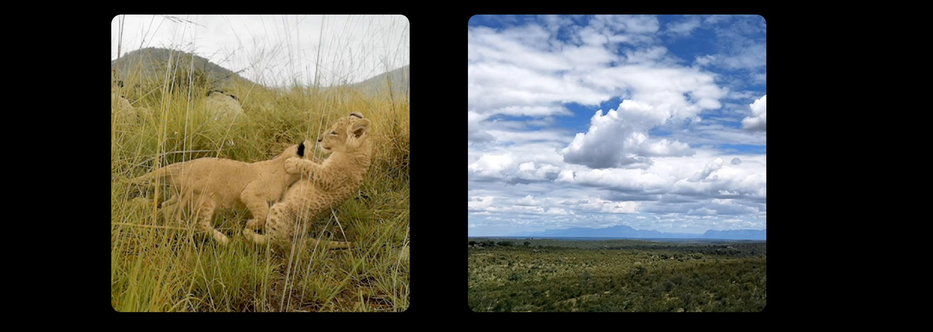 HUAWEI P40 Pro Замедляйте время, Запечатлейте время