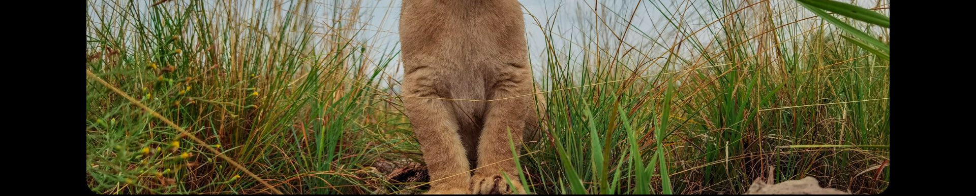 HUAWEI P40 Pro Каждая деталь - это новая история