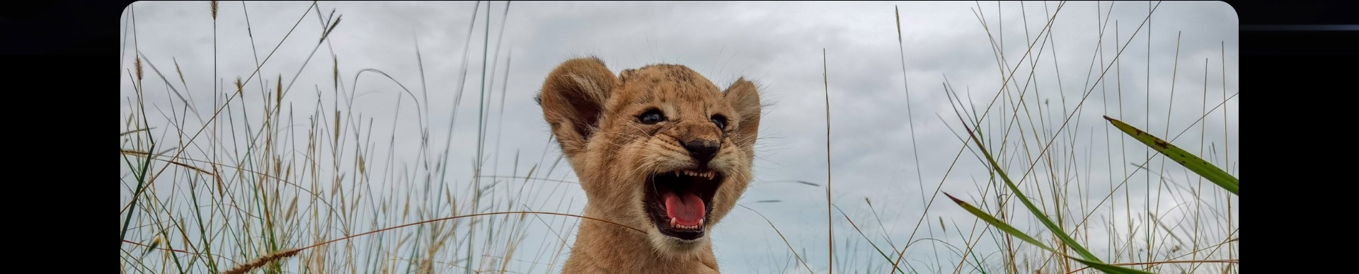 HUAWEI P40 Pro Каждая деталь - это новая история