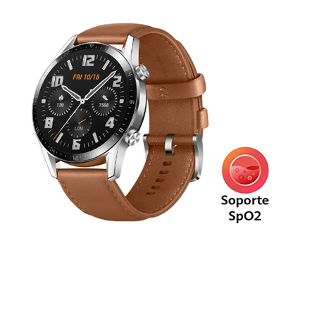 Watch GT 2 (Caf&eacute; Leather)